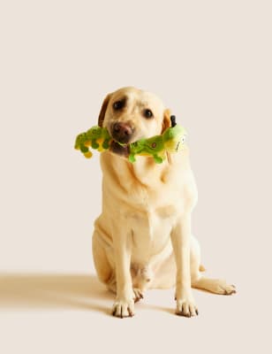 

Juguete para mascotas de Colin the Caterpillar™ - Mezcla De Tonos Verdes, Mezcla De Tonos Verdes