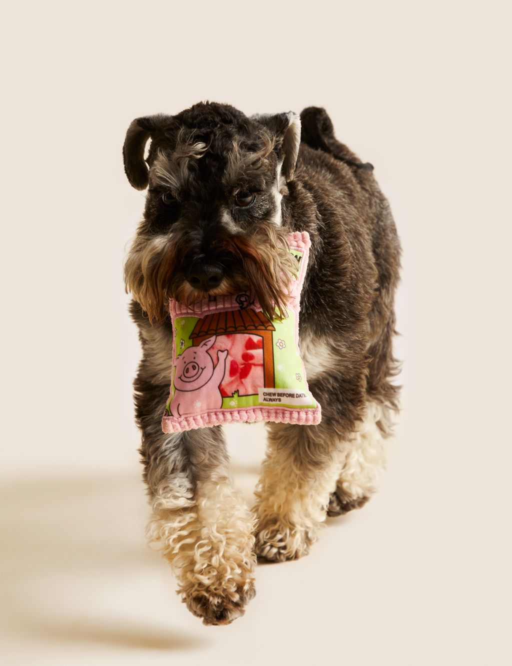 Percy Pig™ Pet Toy image 1