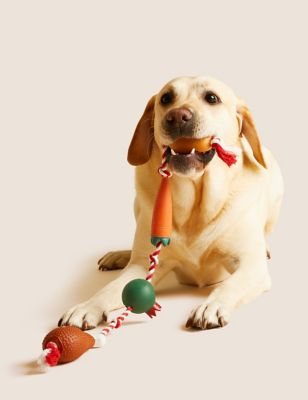 

M&S Collection Christmas Dinner Pet Toy - Multi, Multi