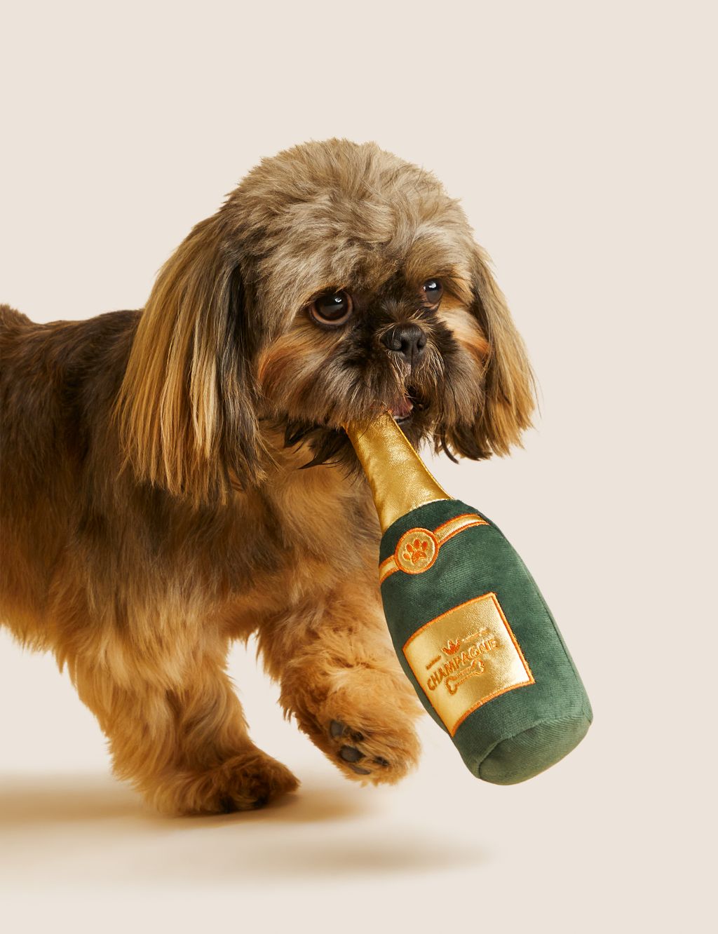 Champagne Pet Toy