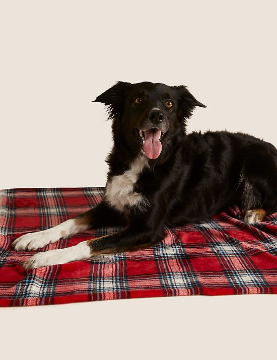 Checked Christmas Blanket For Pets