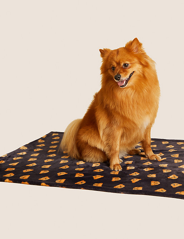 Spencer Bear Blanket for Pets - OM