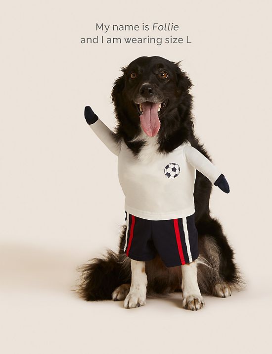 Novelty Football Jumper for Pets