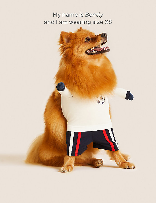 Novelty Football Jumper for Pets - KW