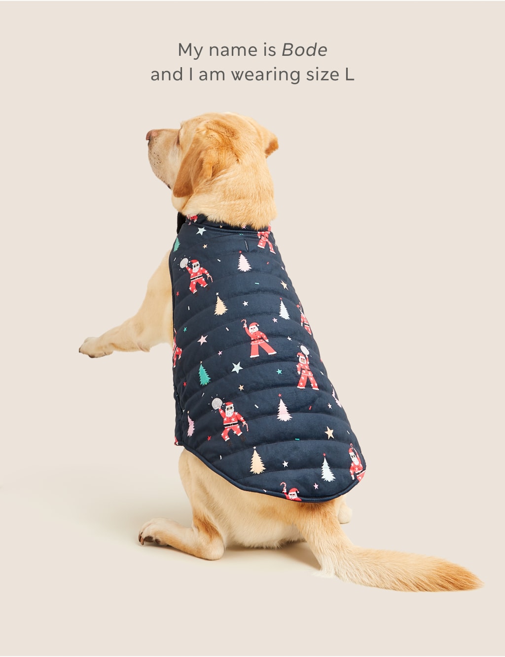 Christmas Jumpers M&S