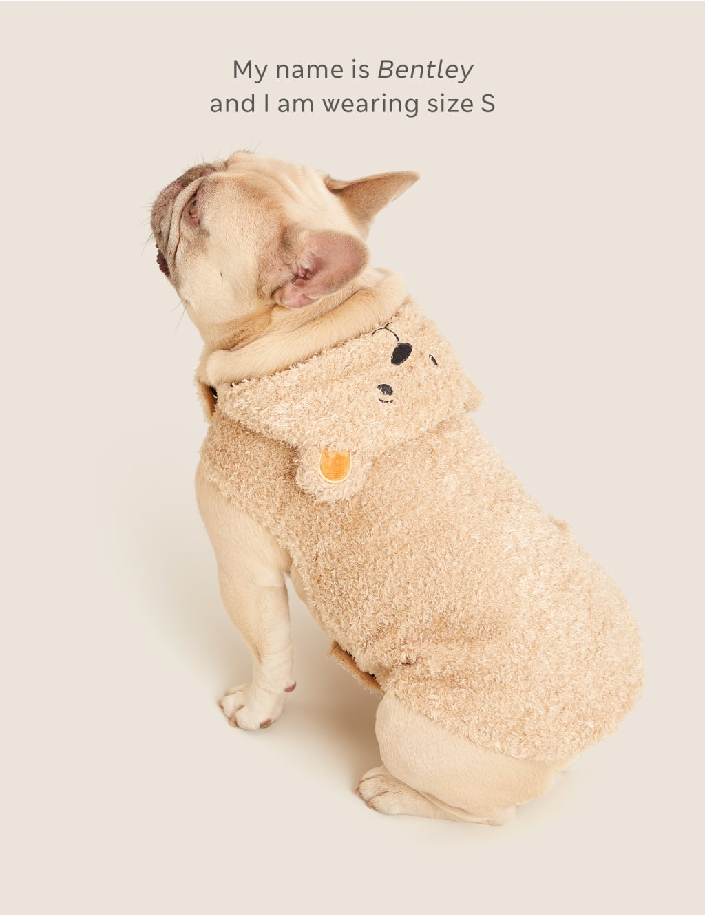 Spencer Bear™ Pet Jumper image 1