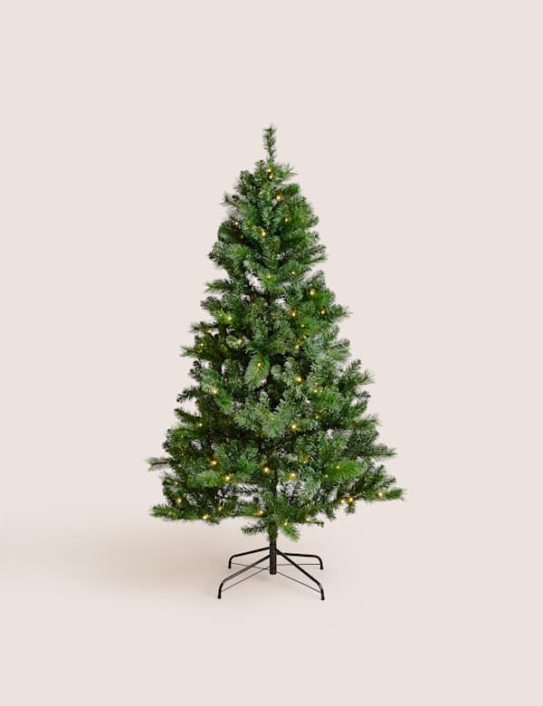 Christmas Trees M S
