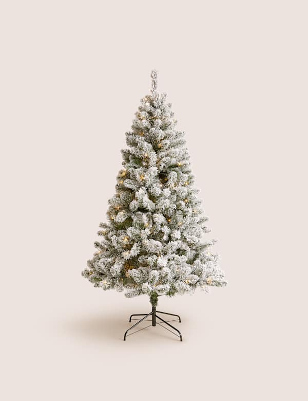 Christmas Trees M S