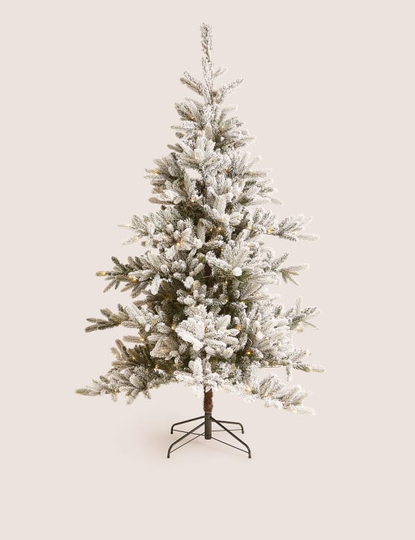 Christmas Trees M S