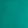 Set of 2 Outdoor Cushions - green