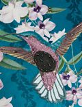 Velvet Hummingbird Embellished Cushion