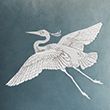 Velvet Bird Embroidered Cushion - duckegg