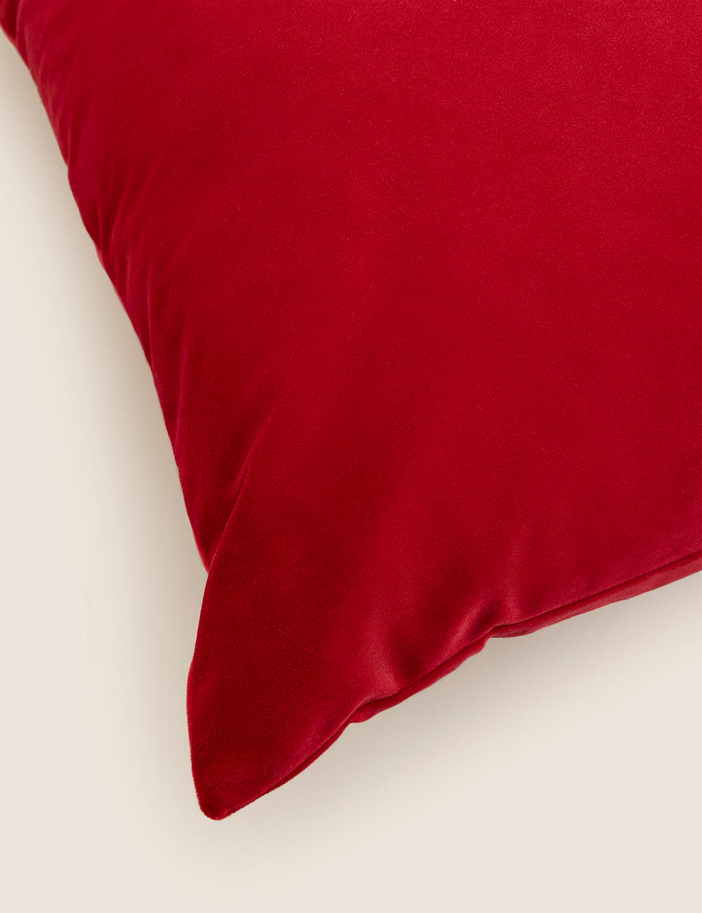 Velvet Cushion image 4
