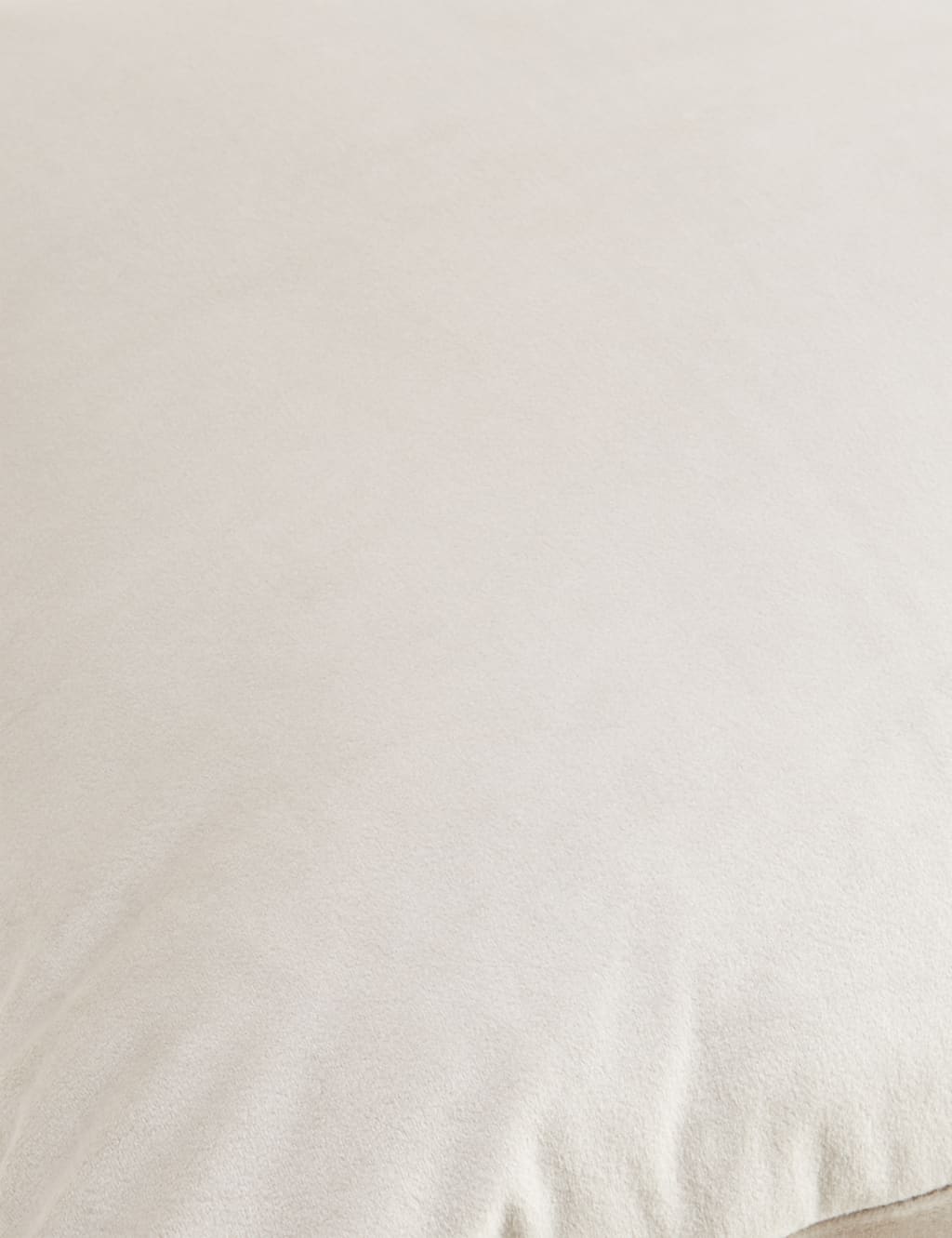 Velvet Cushion image 4