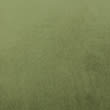 Velvet Cushion - green