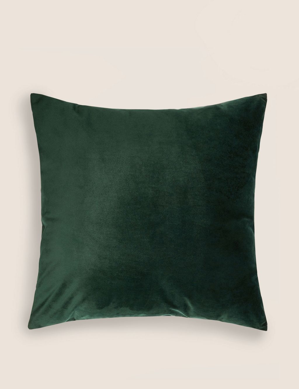 Velvet Cushion image 1