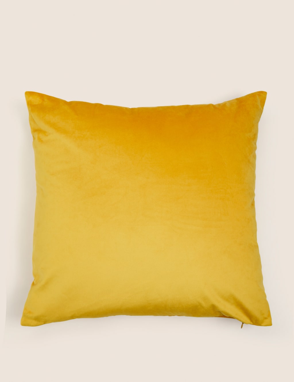 Velvet Cushion image 1