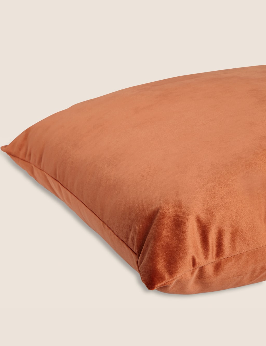 Velvet Cushion image 4