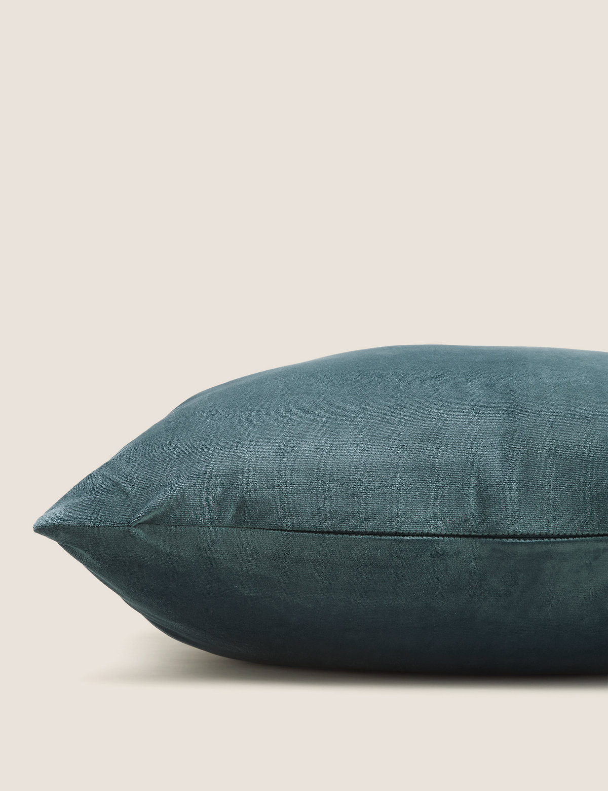 Velvet Cushion