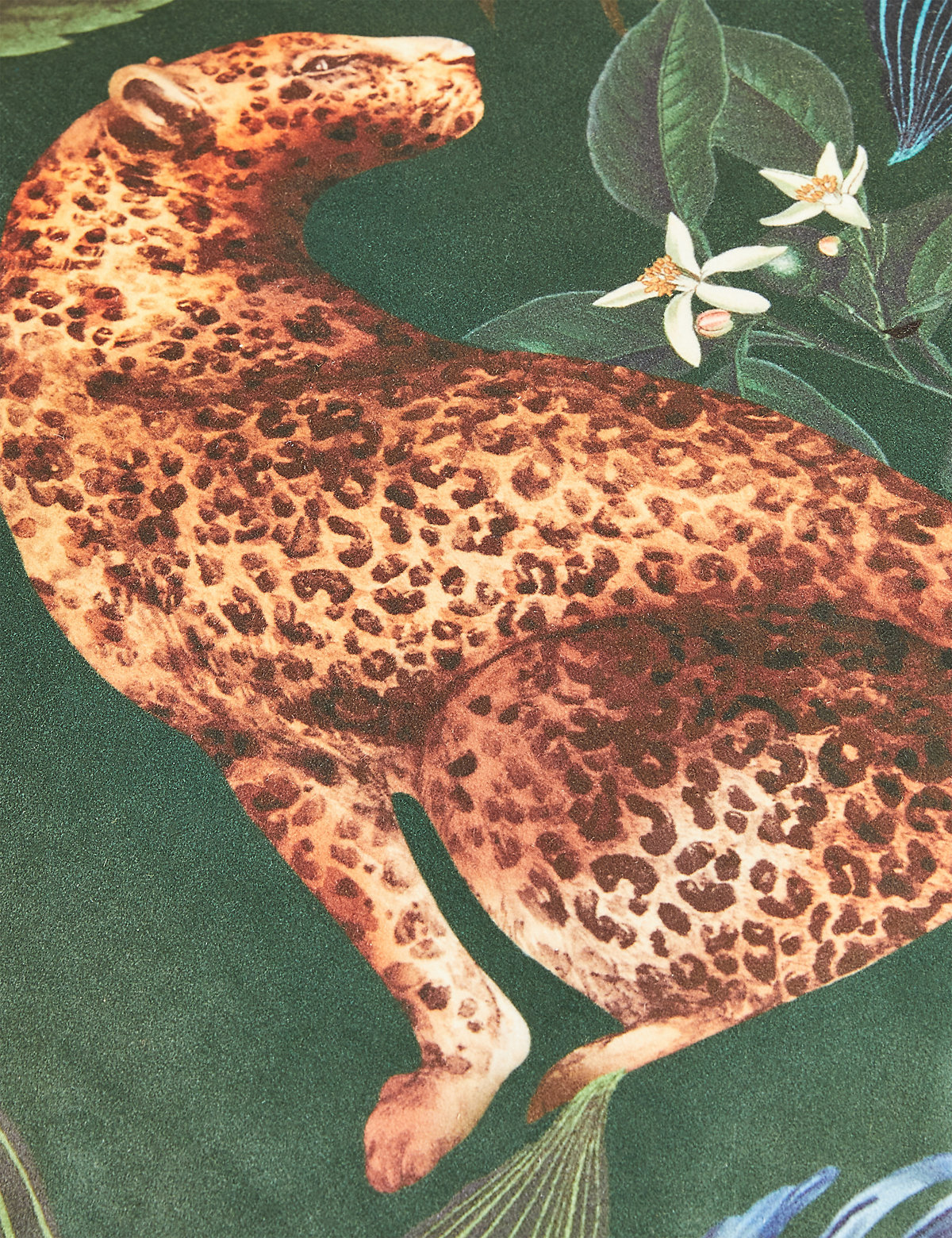 Velvet Leopard Jungle Print Cushion
