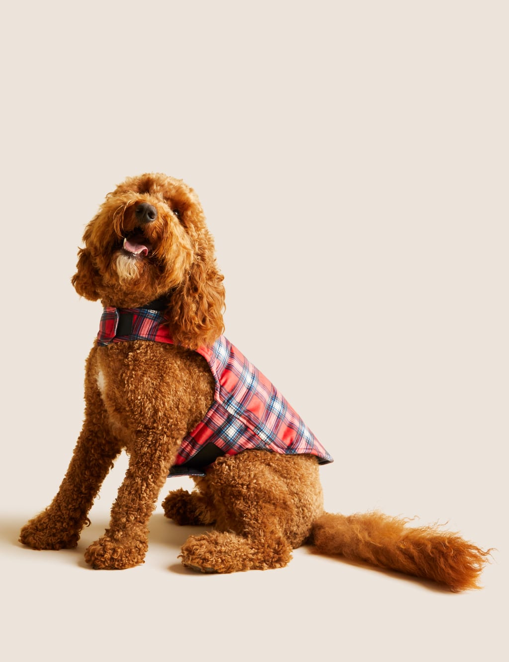 Personalised Checked Jumper for Pets