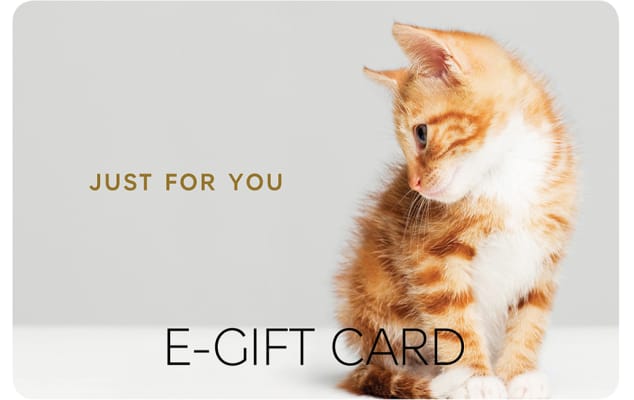 Kitten E-Gift Card | M&S