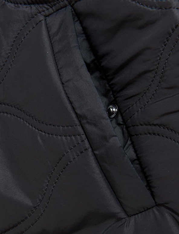 Padded Collarless Puffer Jacket | Per Una | M&S