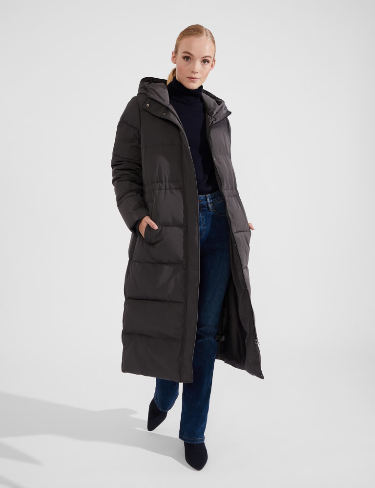 Padded Waisted Hooded Puffer Coat HOBBS M S