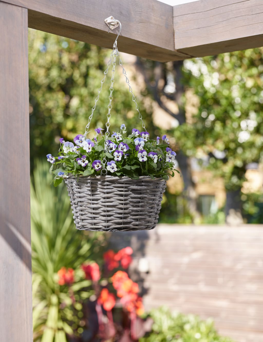 Pansy Hanging Basket M&S