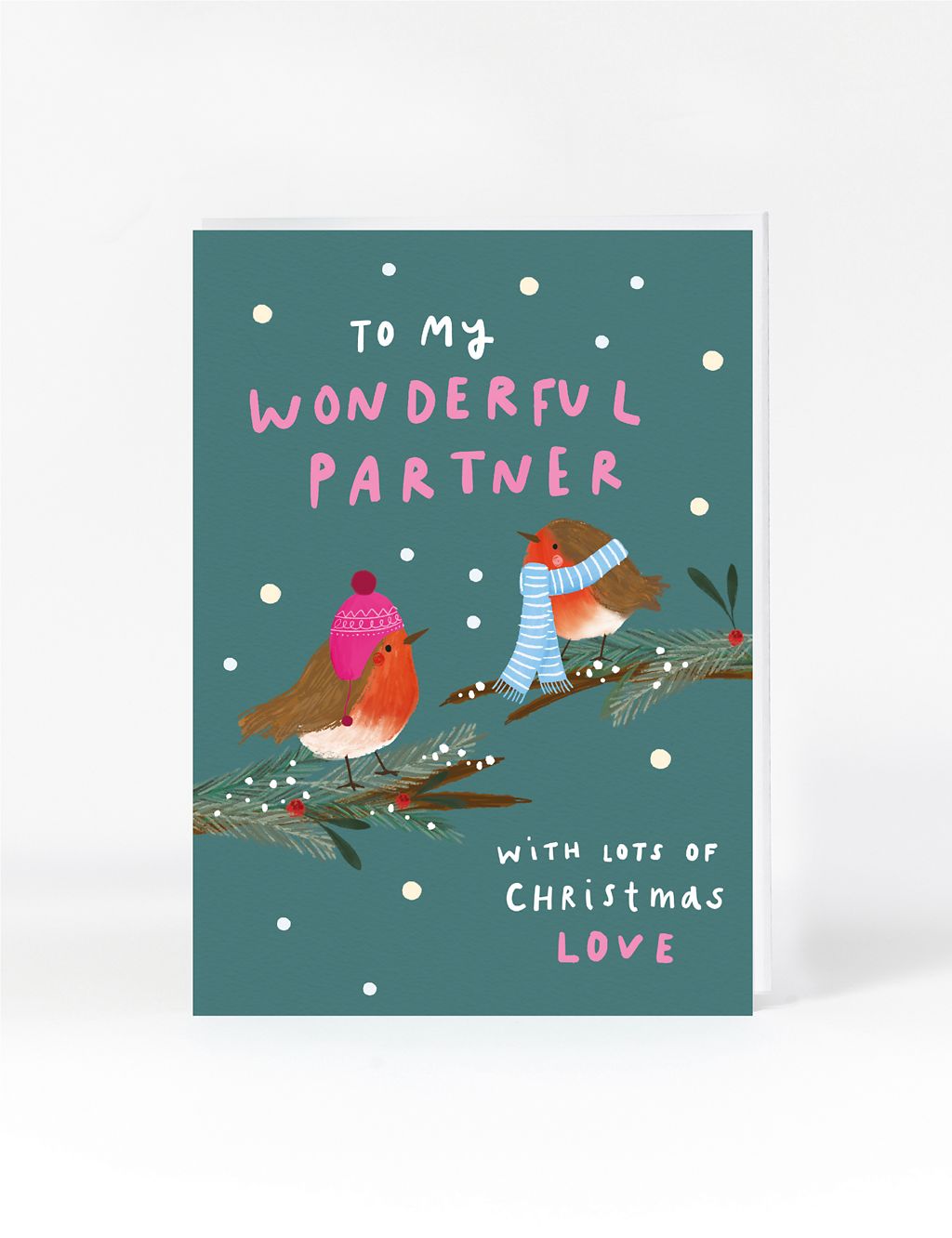 Partner Robins Christmas Card 1 of 2