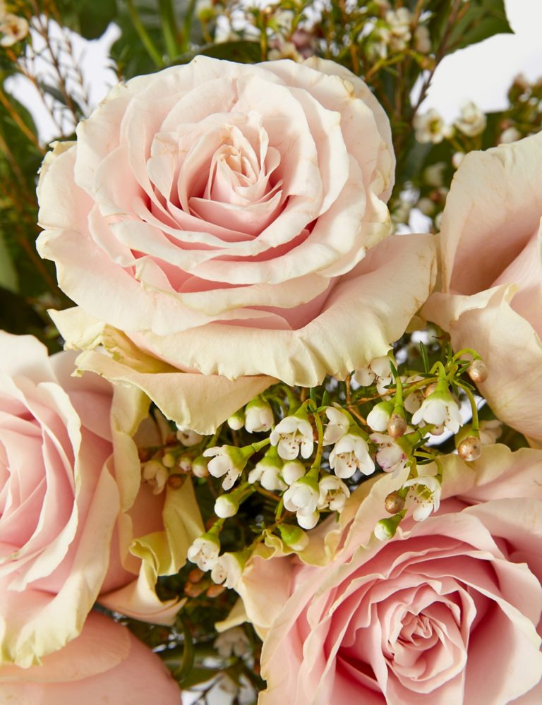 Pastel Pink Rose Bouquet with Prosecco Rosé 4 of 6