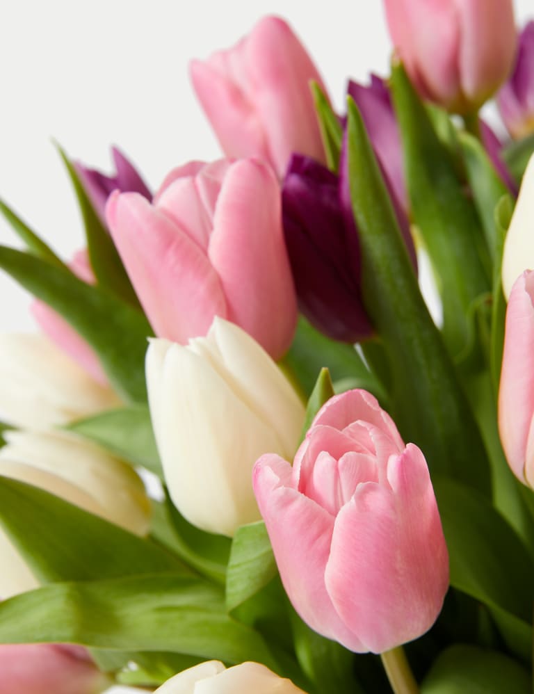 Pastel Tulip Abundance Bouquet 4 of 5