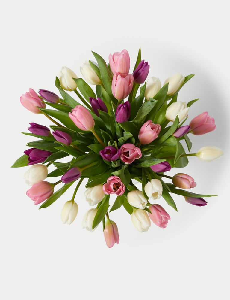 Pastel Tulip Abundance Bouquet 2 of 5