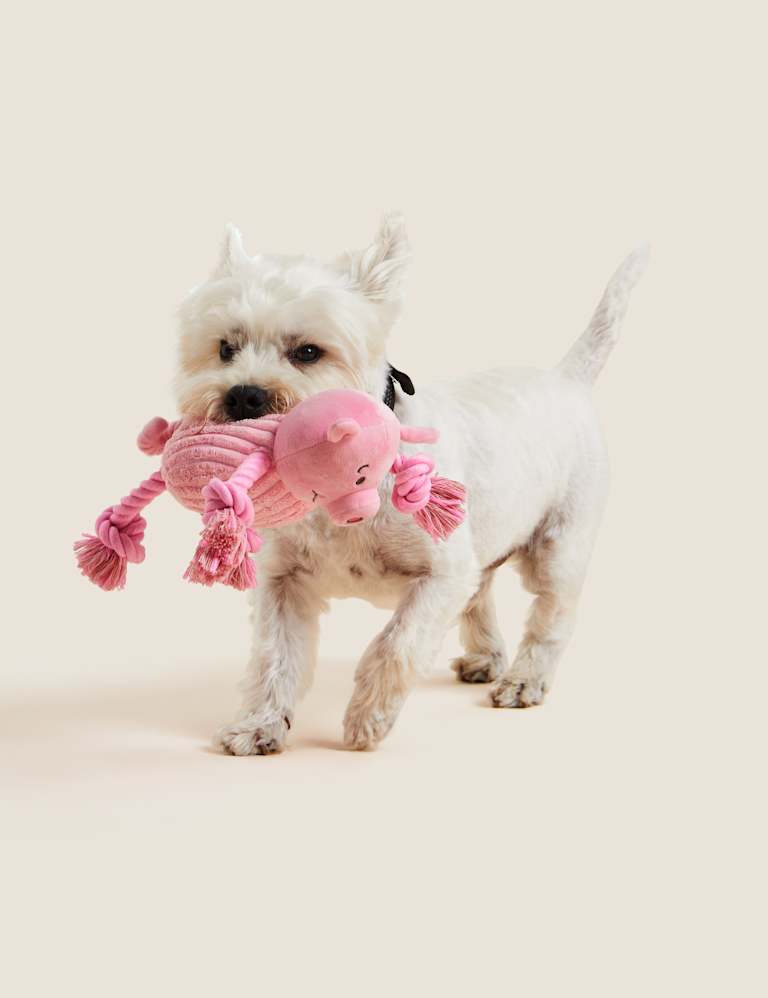 Percy Pig™ Plush Rope Pet Toy 5 of 5
