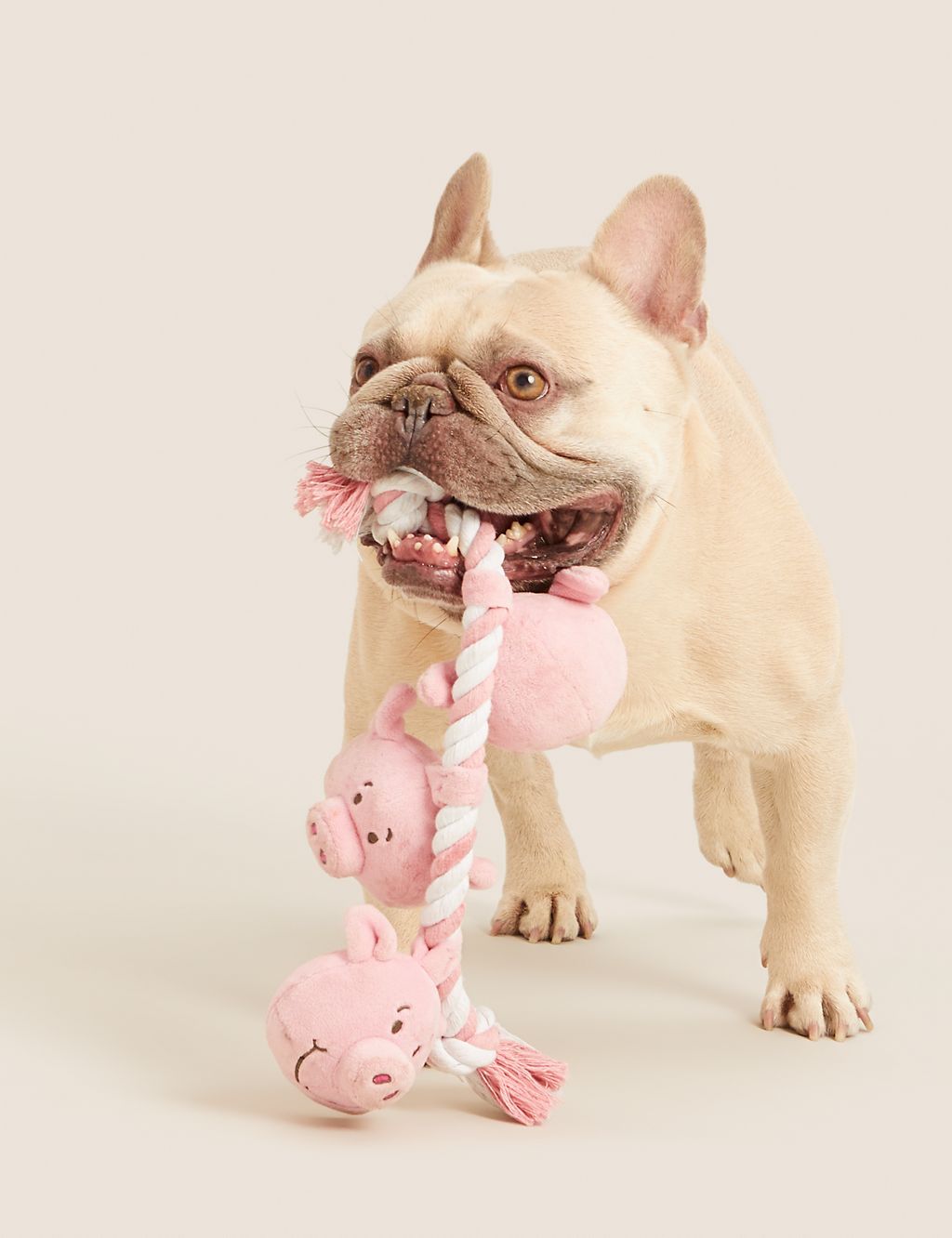 Percy Pig™ Rope Pet Toy 3 of 4