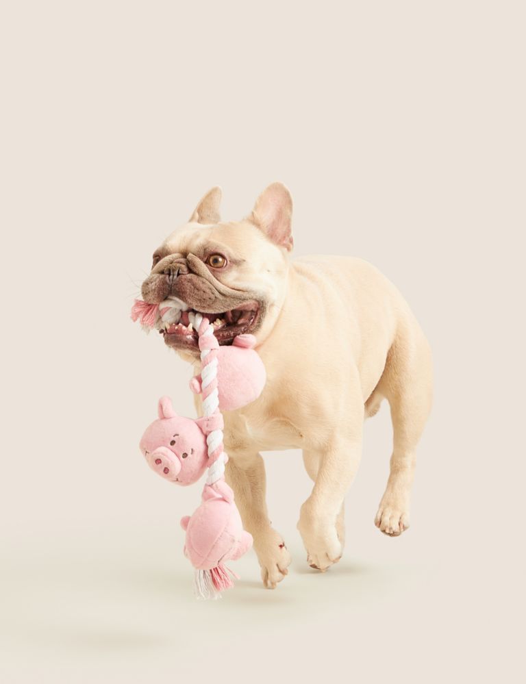Percy Pig™ Rope Pet Toy 4 of 4