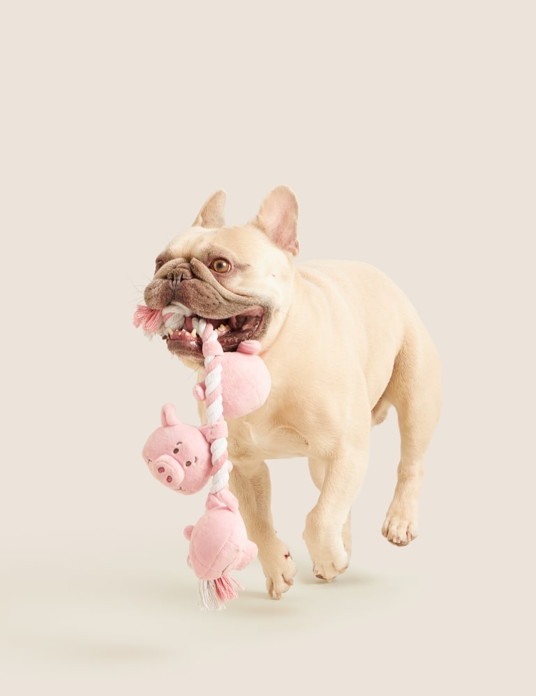 Percy Pig Rope Pet Toy