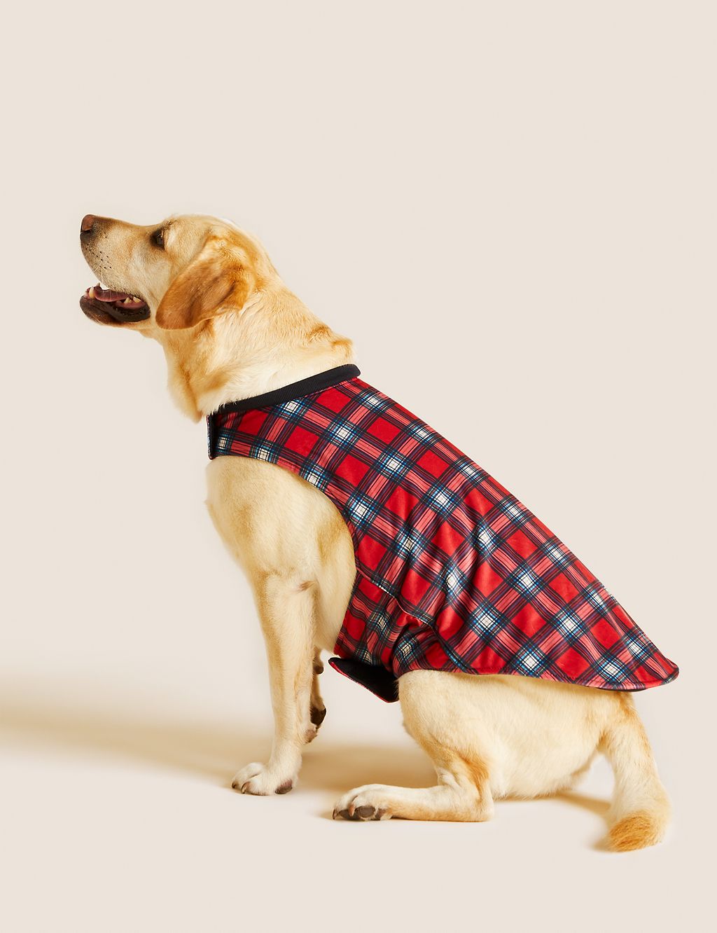 Personalised Checked Jumper for Pets 8 of 8