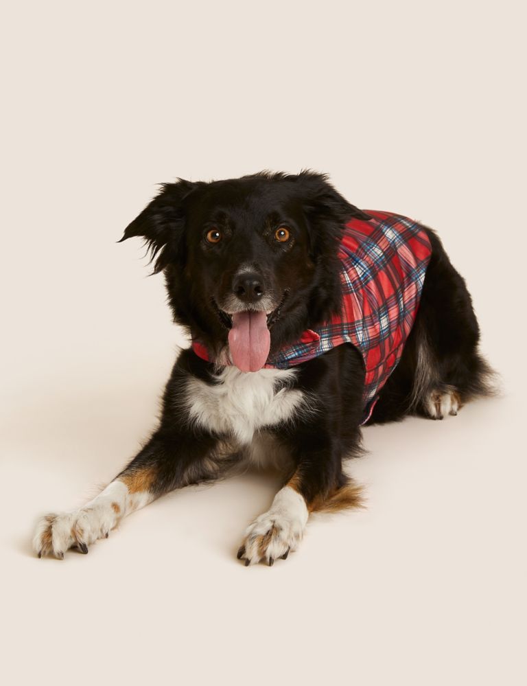 Personalised Checked Jumper for Pets 7 of 8
