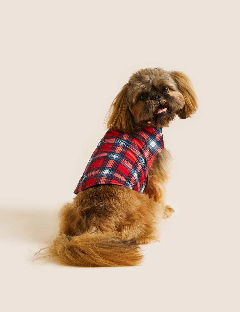 Red and Black Plaid Football Dog Bandana