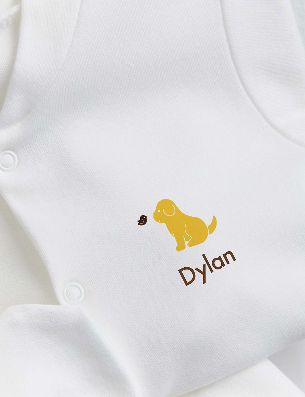 Personalised Puppy Starter Set (0-12 Mths) 1 of 3