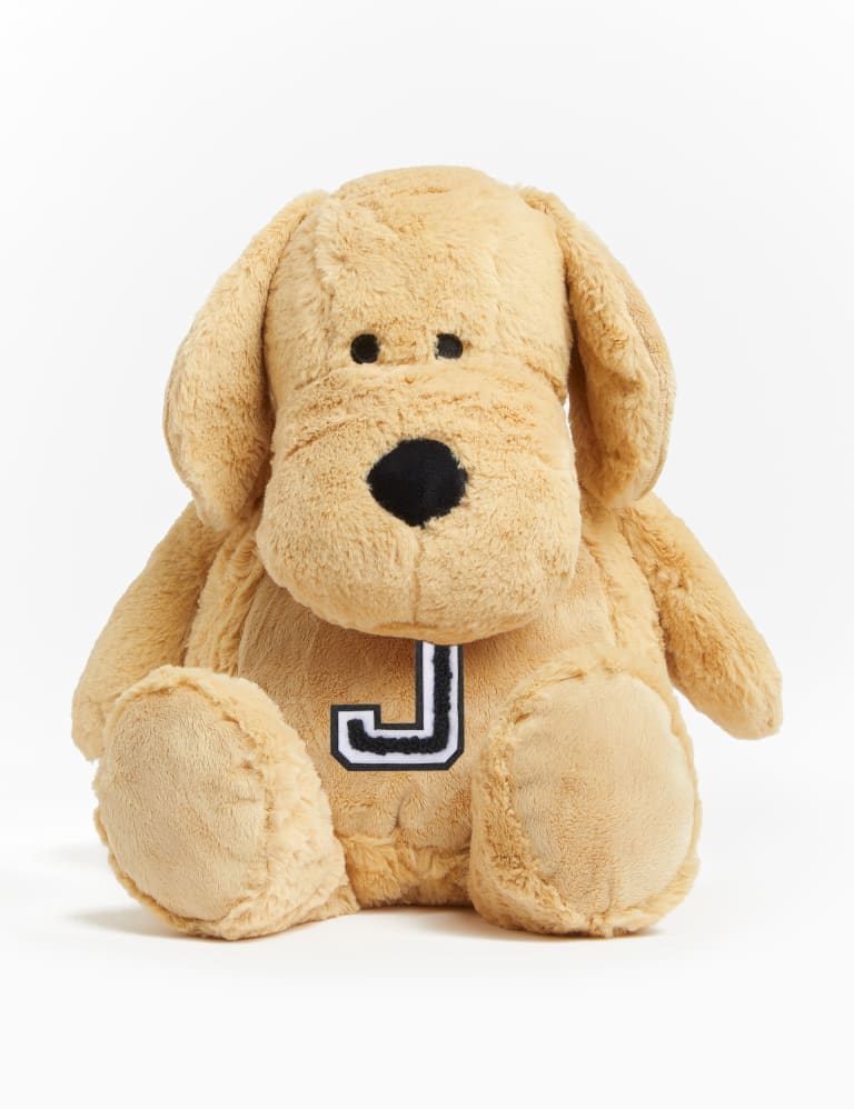 Personalised sale dog teddy