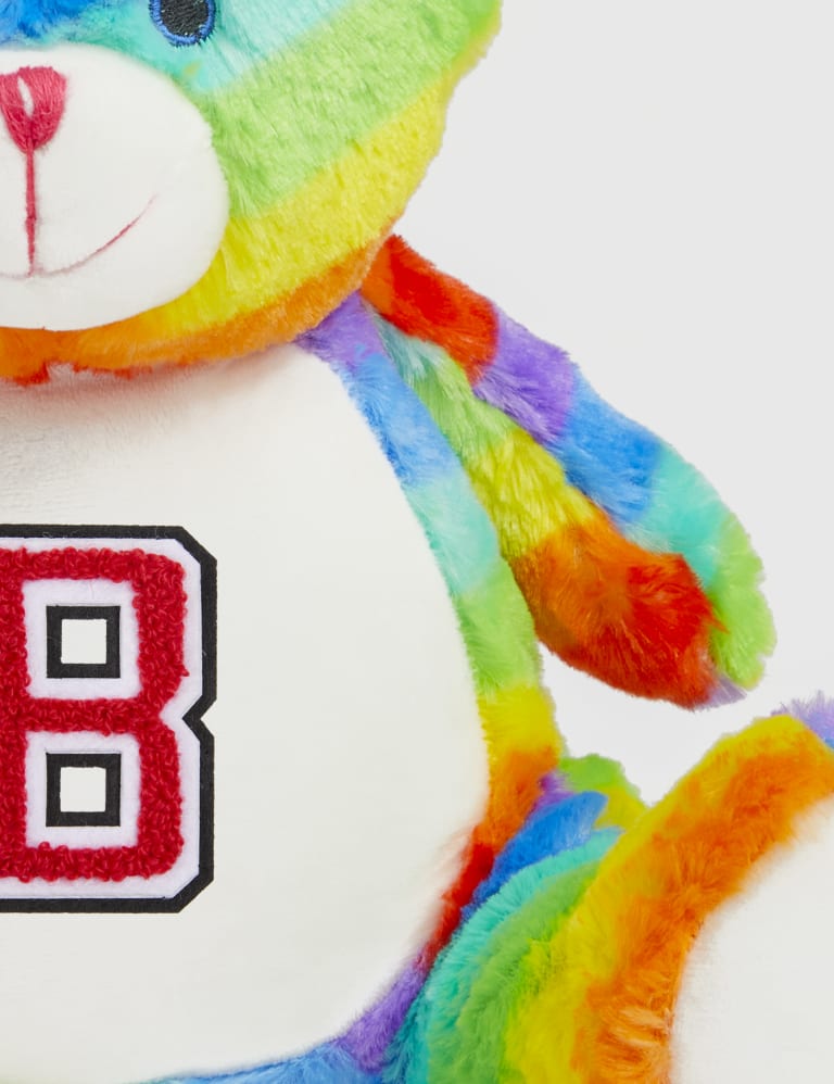Rainbow bear stuffed animal top