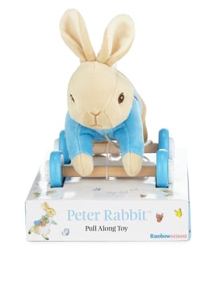 peter rabbit pull along