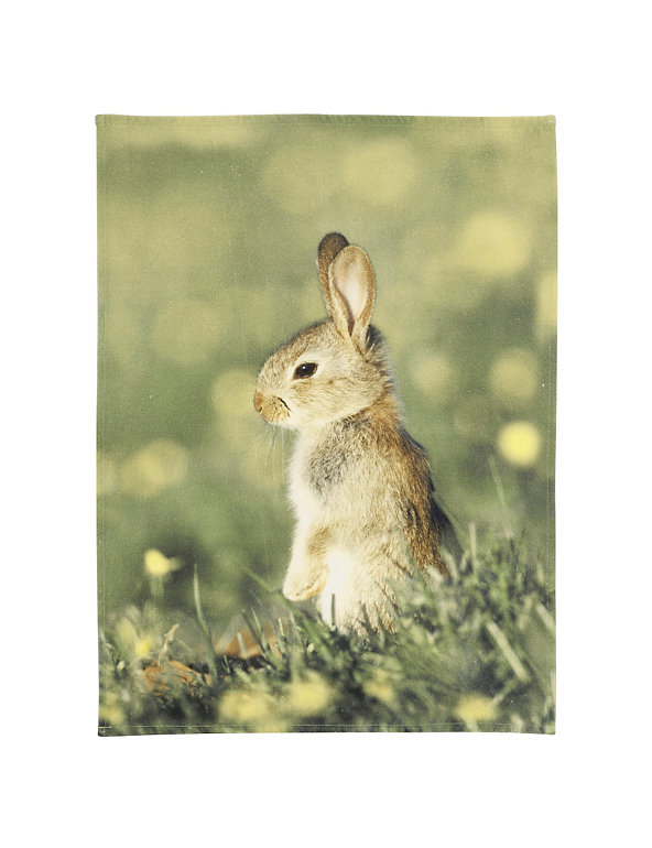 Photographic Bunny Tea Towel Image 1 of 1