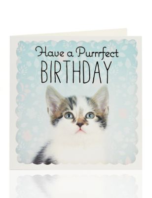 Photographic Cat Birthday Card Image 1 of 2