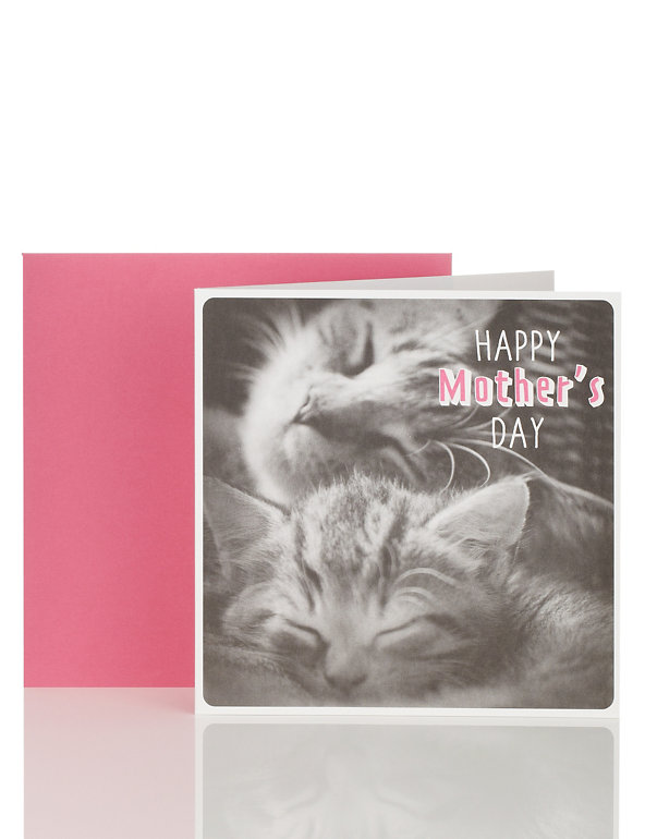 Photographic Cat Mother's Day Card Image 1 of 2