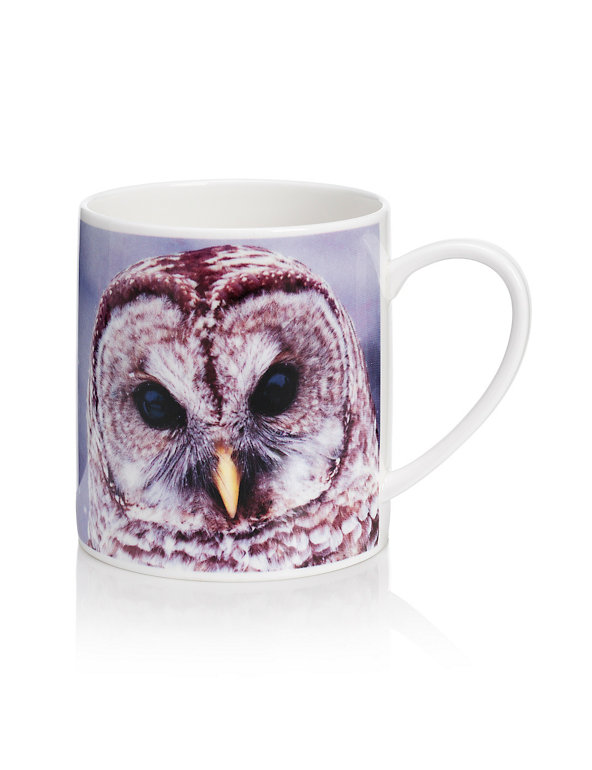 Photographic Owl Mug Image 1 of 2