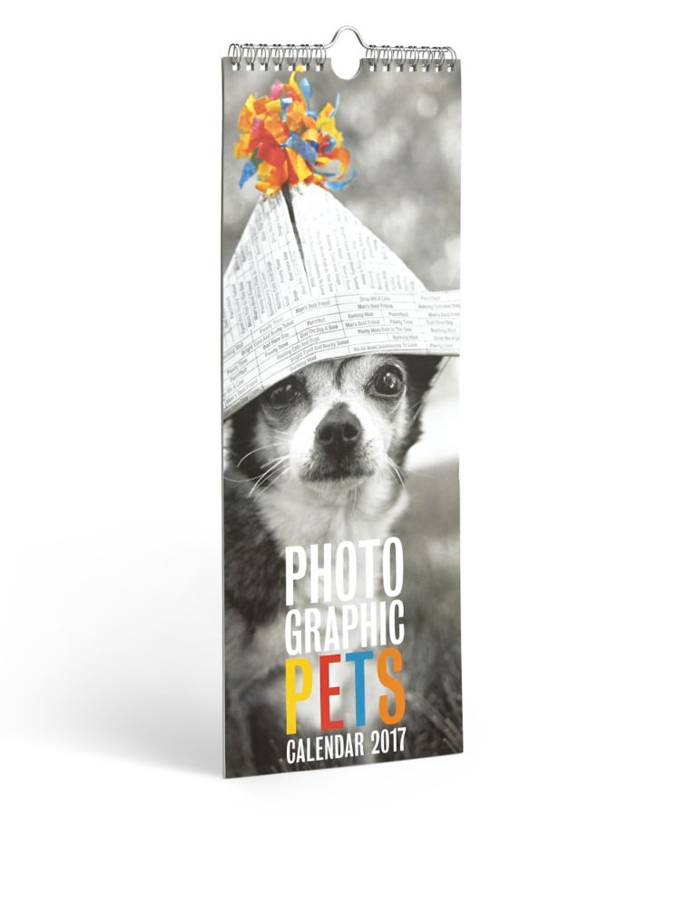 Photographic Pets Calendar 2 of 5