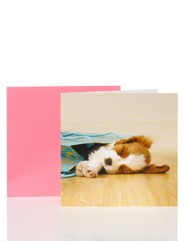 Photographic Puppy Card Image 1 of 1